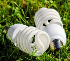 Compact Fluorescent Light Bulbs (CFLs) and Mercury Dangers Debunked