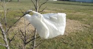 Bans on Plastic Bags Increasing in the United States