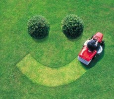 Summer Water Saving Tips for Your Lawn and Garden