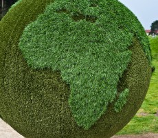 Developing Green Careers Around the World