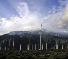Renewable Energy Contributes Half of New Generating Capacity for U.S.