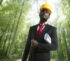 Environmental Engineer Jobs and Green Career Profile