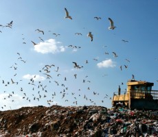 Reduce Landfill Volume by Taking Extra Care of Your Stuff