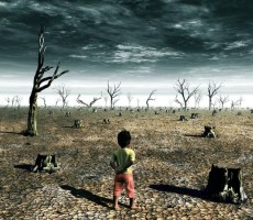 Acid Rain Facts: The Effects of Chemicals on the Environment and People