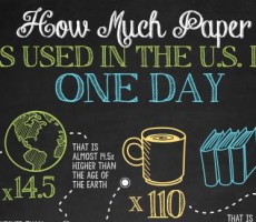 How Much Paper Is Used In The US In One Day?
