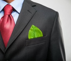 Harvard Business Journal Makes Case For Sustainability in Business
