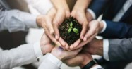 Record Number of Companies Commit To Sustainability Efforts