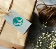 8 Trending Ecofriendly Gift Ideas