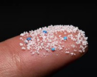 What Are Microplastics?