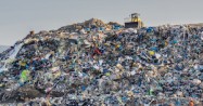 Decompose Trash: How Long Does it Take
