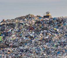 Decompose Trash: How Long Does it Take