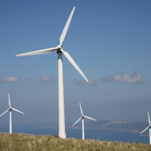 Wind Energy Engineer Jobs and Green Career Profile | Sustainable Earth 