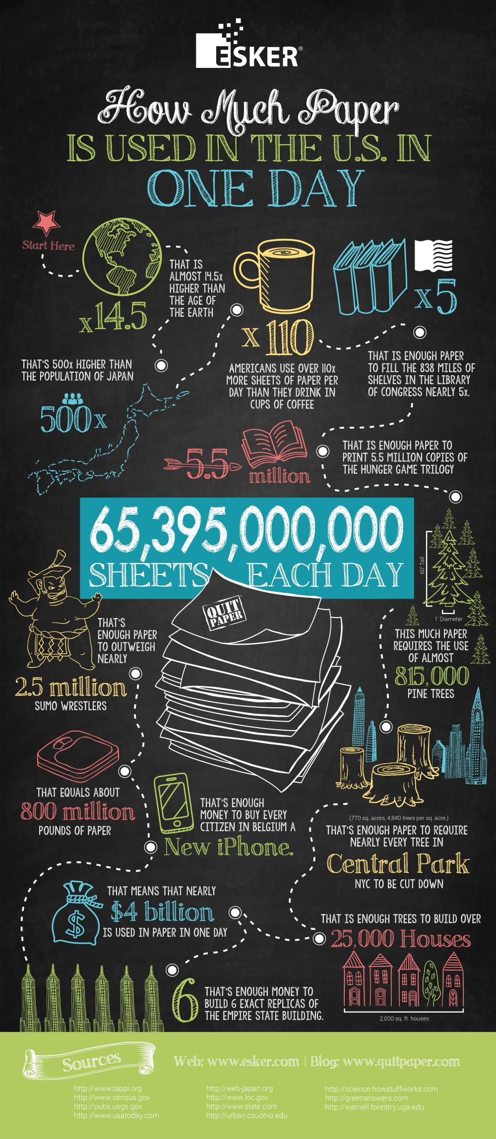 Paper Usage Infographic