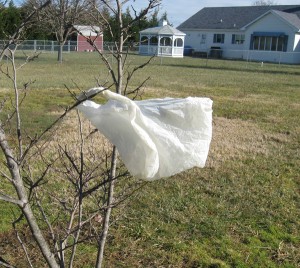 Ban on plastic bags