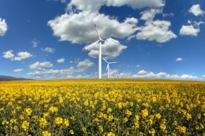 Renewable Energy Production