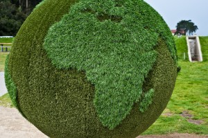 Green Jobs are Developing Across the Globe