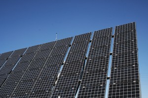 Job losses can help the solar industry flourish