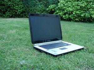 Going Green by Telecommuting